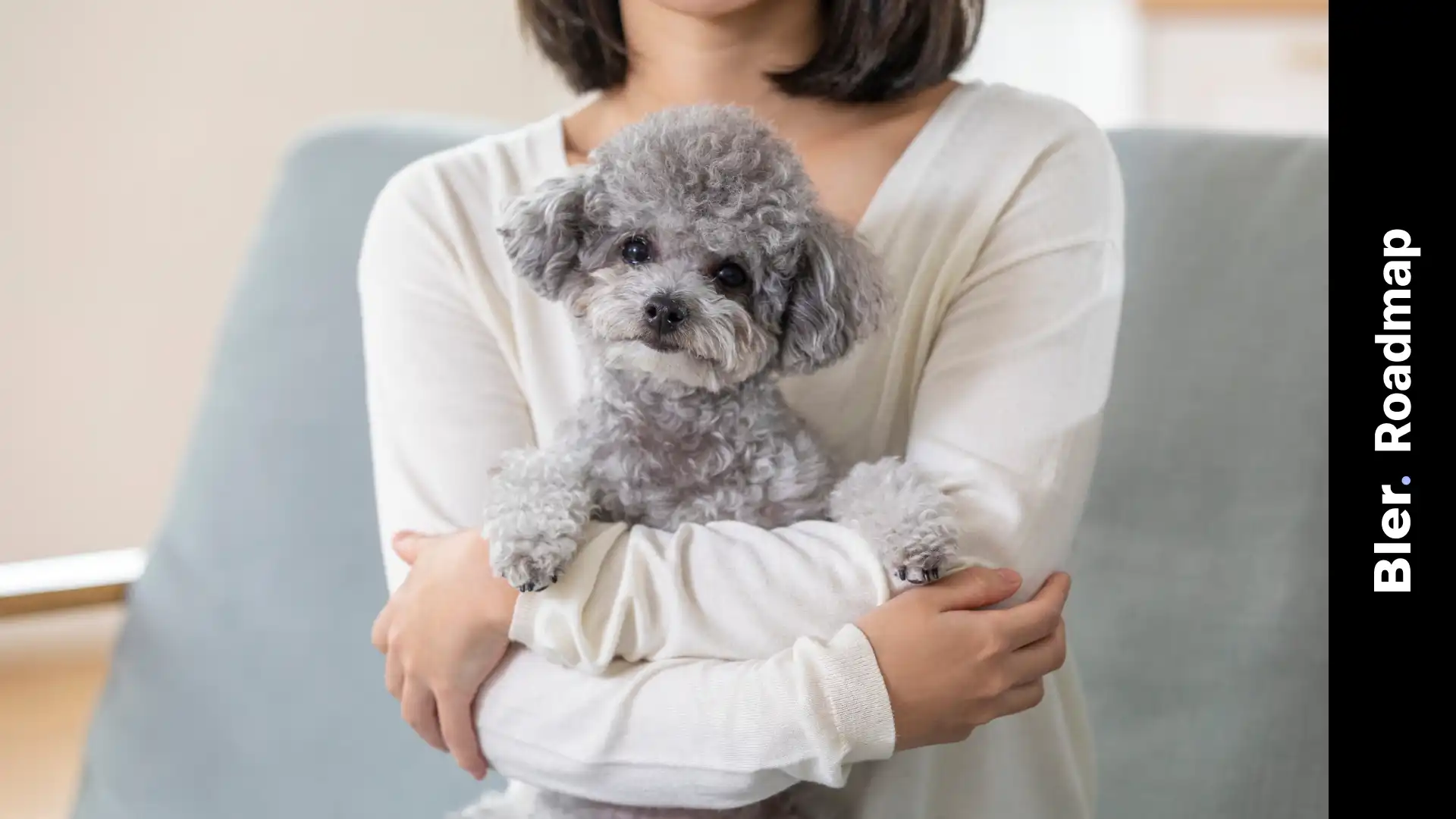 초보 보호자를 위한 반려 생활 실전 올인원